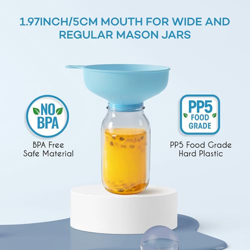 Minimalist Pisol Wide Mouth Versatile Funnel, Canning Funnels Kit